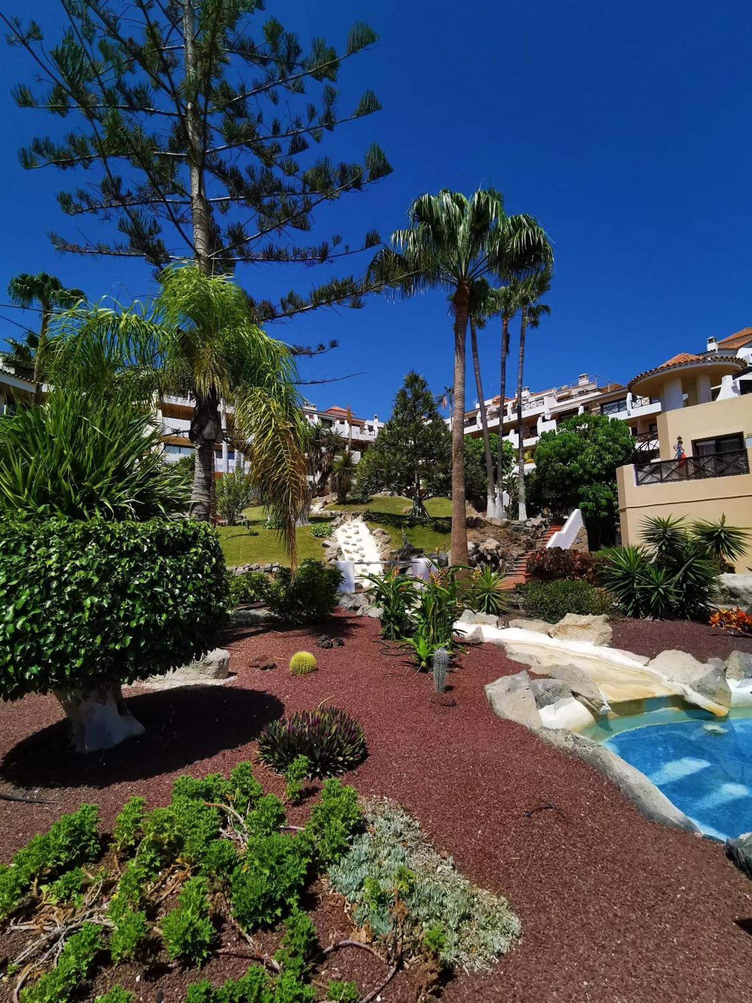 Strelitzia Apartment - Ocean View & Heated Pool San Miguel de Abona Kültér fotó
